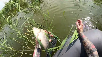 17.06.23 Озеро Шелюгино. Открытие лодочного сезона / Shelugino lake. Open boat season.