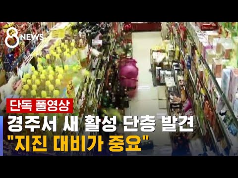   단독 국내 최대 규모 경주 지진 정확한 원인 밝혀졌다 SBS