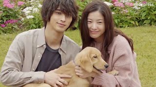 きみの瞳が問いかけている コレクターズ・エディション　吉高由里子　横浜流星 きみの瞳が問いかけている Blu-rayコレクターズ・エディション