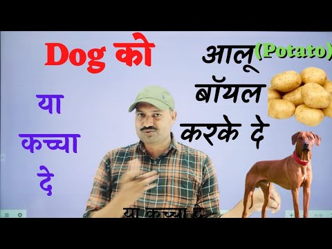 वीडियो: क्या मेरे कुत्ते को विजन समस्या है?