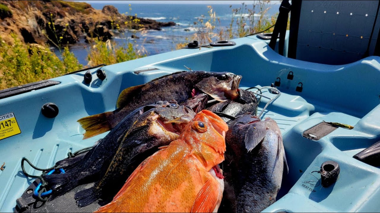 Big Sur Kayak Fishing! *Multi Species*