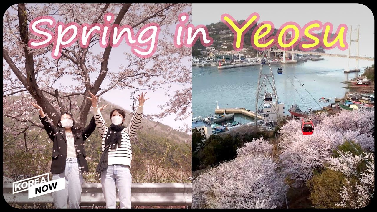 Visit the hidden gem of Korea, Yeosu! Full of cherry blossoms & amazing foods 🌸