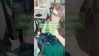Cleaning Maggots From Cat Wound adobeangel