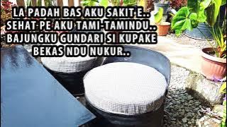 Download lagu LA NGASUP SIRANG - NETTY VERA BR BANGUN (LIRIK) | Tanpa iklan