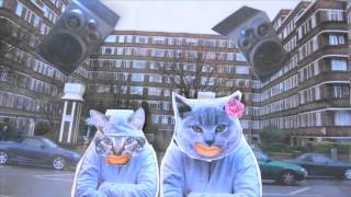 Hackney Cat Animation - Young Hackney Take It On
