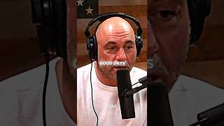 Download Lagu Eén goede dag - Joe Rogan MP3