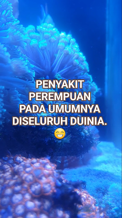 penyakit kebanyakan perempuan #ceramah #khzainuddin #pepatah #perempuan #keluarga #rumahtangga