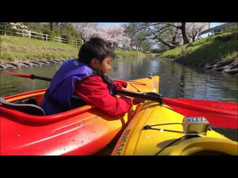 Video: Kayaking și Ajută La Recuperarea în Japonia - Matador Network