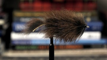 Pine Squirrel Streamer