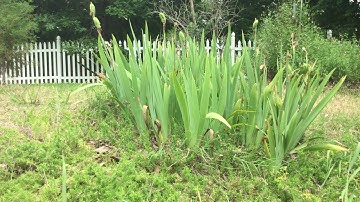 4K iPod touch 6th gen camera test