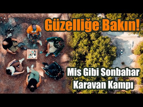 Orman Kampları Başladı!