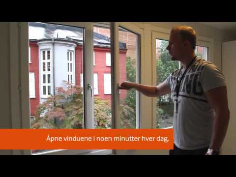 Video: Hva dreper blonderbugs?