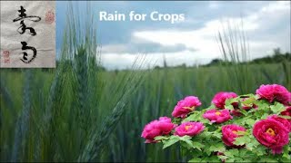 Rain for Crops 榖雨 (English narration), Seasonal Living, Part 6