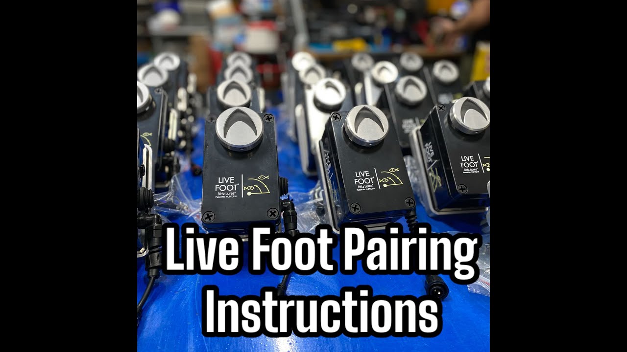 Live Foot™ - Patented Motor Control System for Sonar Transducers by Bl – DD26  Fishing