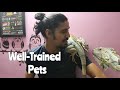 My Well- TRAINED LIZARD | Wildly Indian