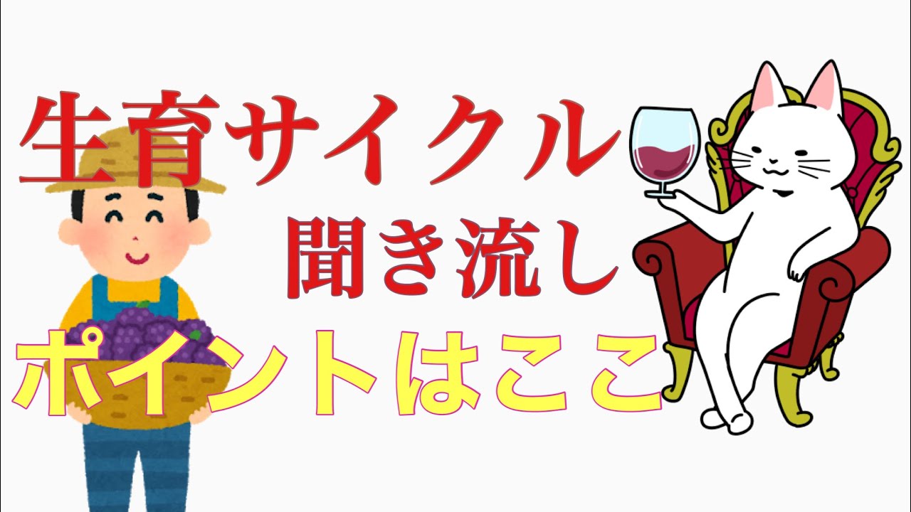 【生育サイクルと栽培作業】ポイントが分かる・練習問題付き《ソムリエ・ワインエキスパート試験対策》