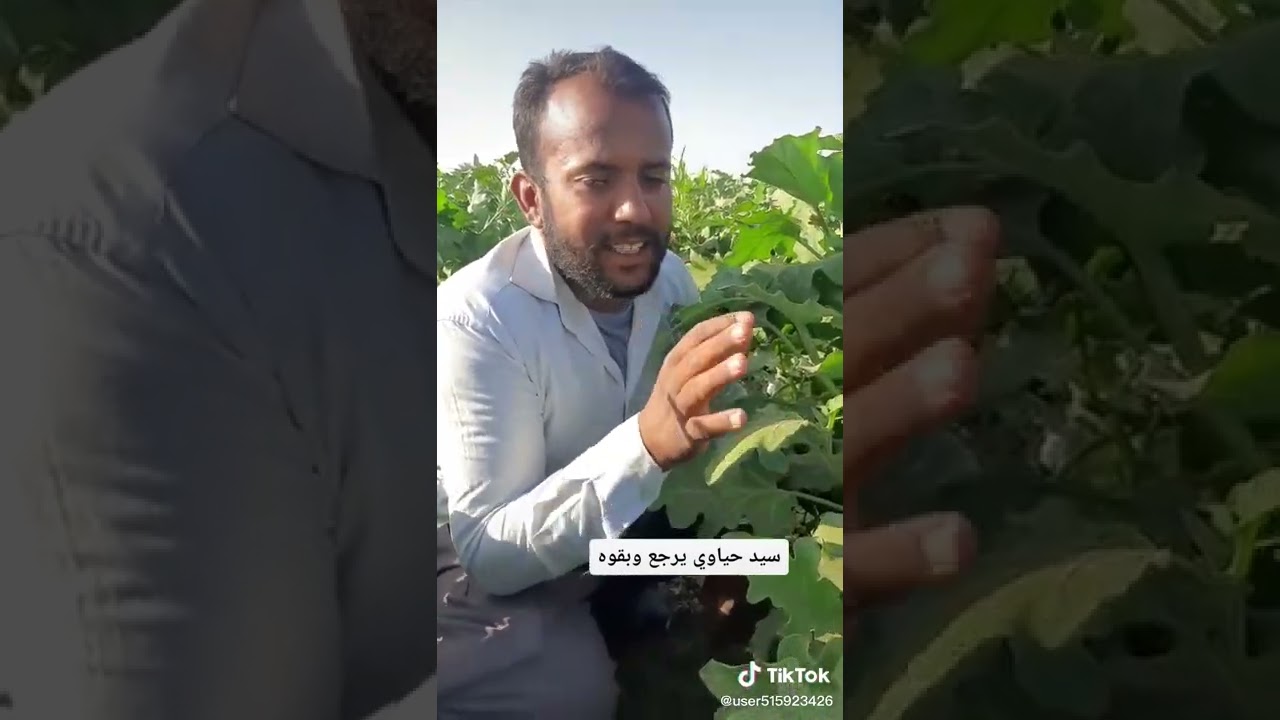 سيد حياوي تابع للأخير واشبع ضحك 😂😂😂