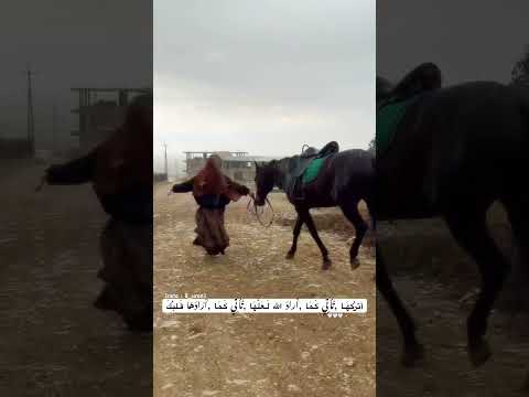 اتركها تاتي كمان اراد الله لعلها تاتي كما ارادها قلبك محتوى ديني قرآن ادعية آيات اكسبلور
