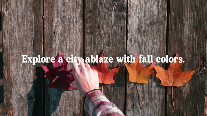 Take a Traverse City Fall Color Tour