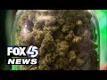 Hemp businesses sue Maryland for 