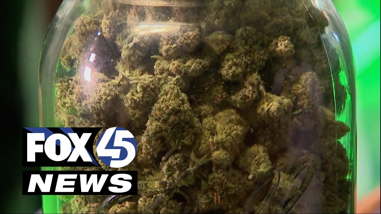 Hemp businesses sue Maryland for 'monopolizing' recreational pot licensing process