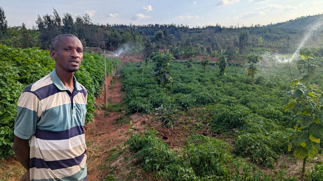 👉 UYU Muhinzi YAMPUMUYE AMASO!Yahereye kuri 40x50m none afite Hegitari 5 🚀👩‍🌾👨‍🌾