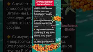 польза облепихи #полезныесоветы #советы