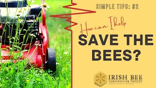Tip 2 How To Save The Bees
