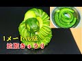 【蛇腹きゅうり】 １m以上！切り方で胡瓜が長くなる方法！胡瓜の飾り切り　寿司職人の包丁技術　Cucumber decoration