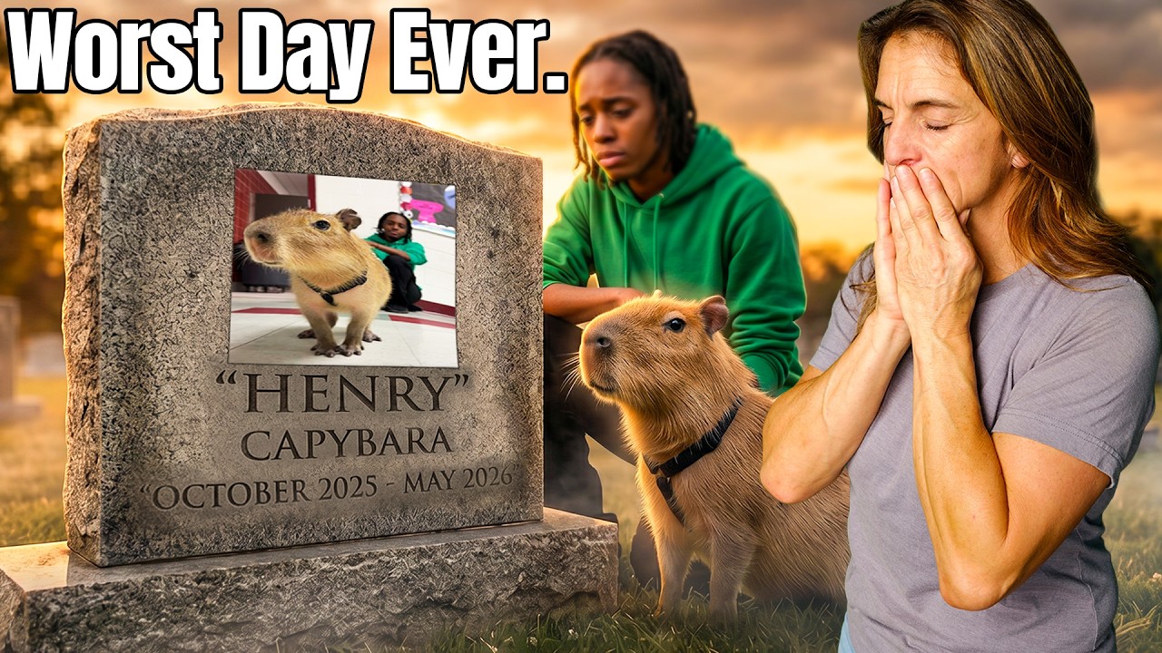 We Lost Our Baby Capybara… 💔
