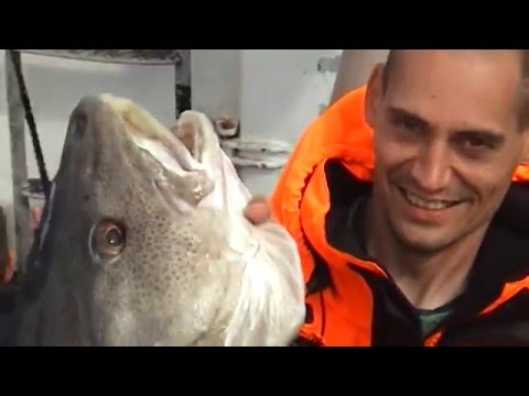 Røst Norge -  Flashback. Video Kenny Rander