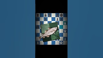 3 शानदार चालें ✨️