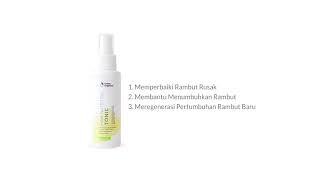 Hair Tonic Penumbuh Rambut Green Angelica Obat Rambut Botak Rontok - Menumbuhkan Rambut Botak - FREE SISIR