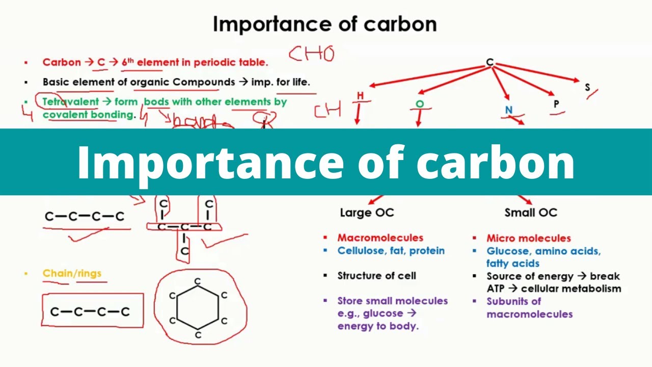 Importance of carbon