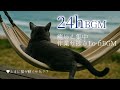 【Lo-Fi BGM】猫のいる風景 | 勉強・作業・読書用音楽