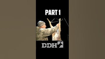 Easiest Way to Skin a Deer Part 1 #shorts #deerhunting #whitetaildeer