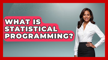 What Is Statistical Programming? - The Friendly Statistician