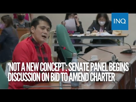 ‘Not a new concept’: Senate panel begins discussion on bid to amend charter