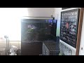 りゅうスケッチ YouTubeLIVE②