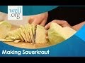 Heal the Gut with Sauerkraut (Easy-To-Follow Recipe from Summer Bock)