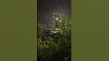 لا إله إلا أنت سبحانك إني كنت من الظالمين 🤍 القارئ شريف مصطفى #القرآن_الكريم