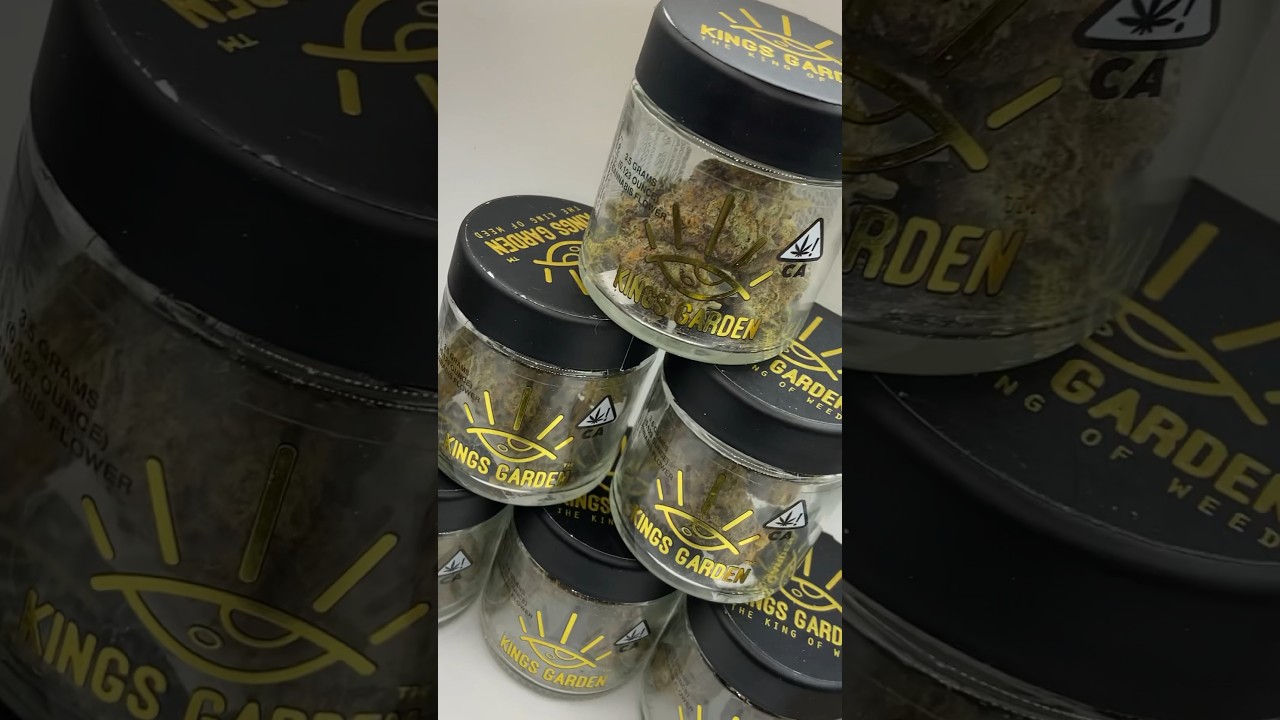 KGB by Kings Garden “The King of Weed” - Strain Review 🤩👑