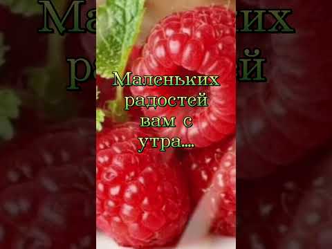 Доброе утро! Красивоепожелание#музыкальная#поздравления#доброеутро#красиваямузыка#shorts