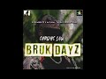 Chronic Law Bruk Dayz Official Video mp3