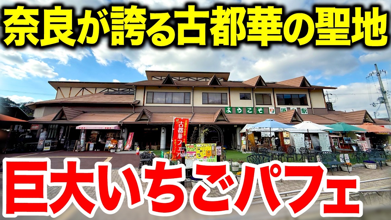 【デカ盛り】行列ができる予約争奪戦の巨大いちごパフェがヤバすぎた...【道の駅大和路へぐり】