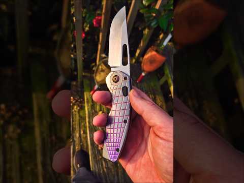 Mayberry Customs HDM         