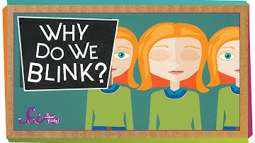 Why Do We Blink?