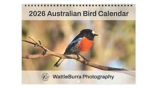 2026 Australian Bird Calendar by WattleBurra Photography