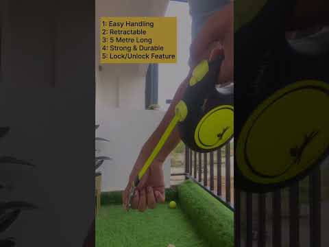 Flexi Retractable Leash