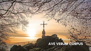 [1HR, Repeat] Ave Verum Corpus by the Priests